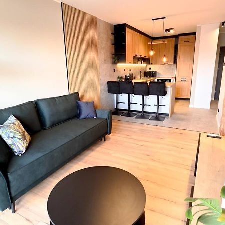 Cisza Przy Lodzkiej By Rentoom Apartment Torun Exterior photo